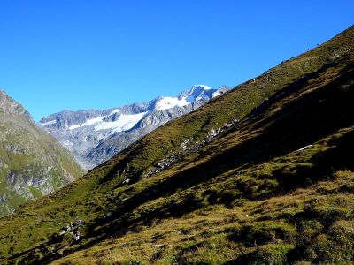 003-Blick hinauf zum Gross-Venediger